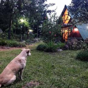 The lookout Hideaway cabin